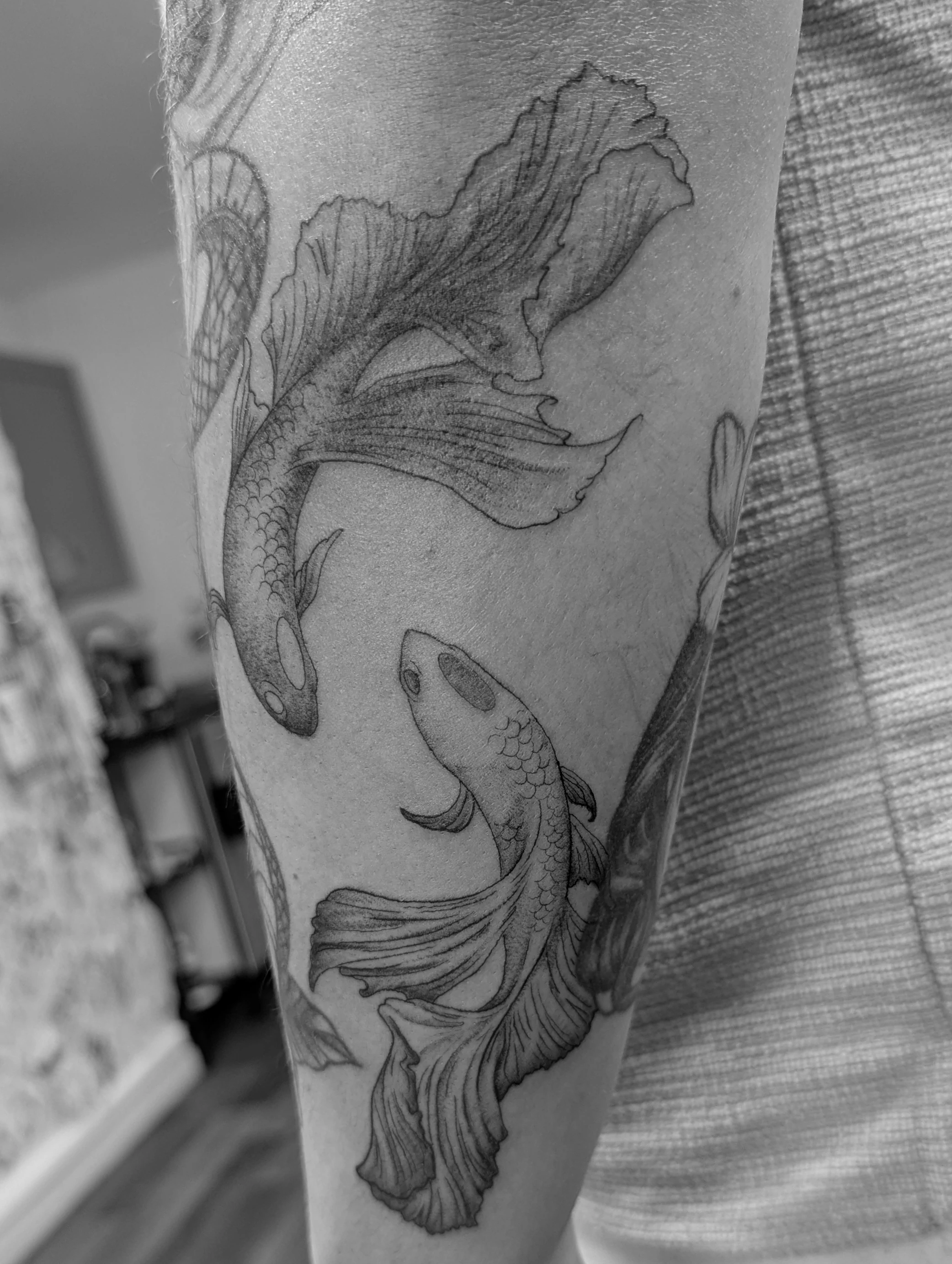 Emperor Koi