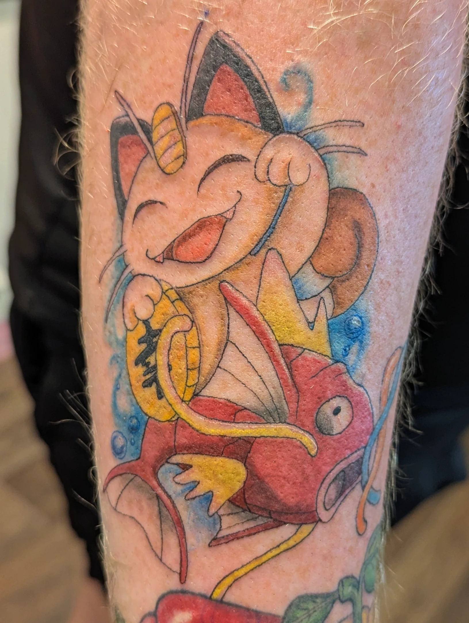 Meowth-Magikarp