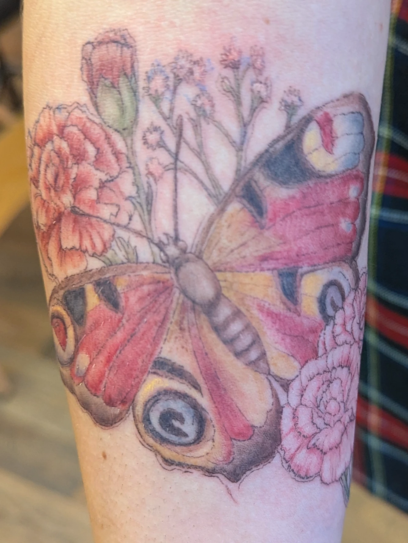 Peacock Butterfly