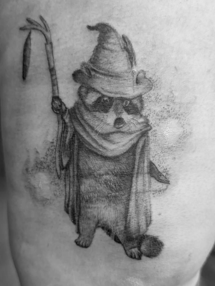 Wizard Raccoon