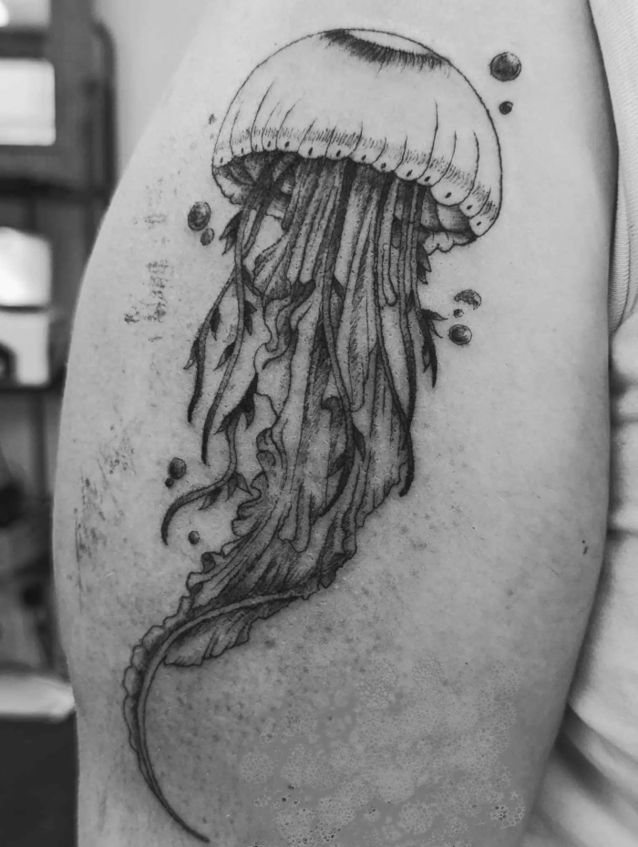 Jellyfish